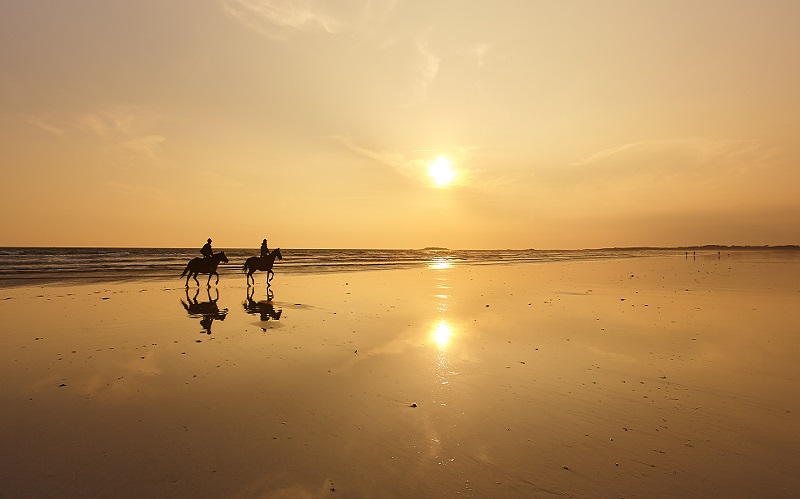 Balade à cheval sur la plage de Plouharnel