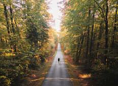 Camors, a privileged natural area in the south of Morbihan