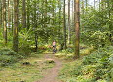 cycliste-sentier-foret-camors_1224x816