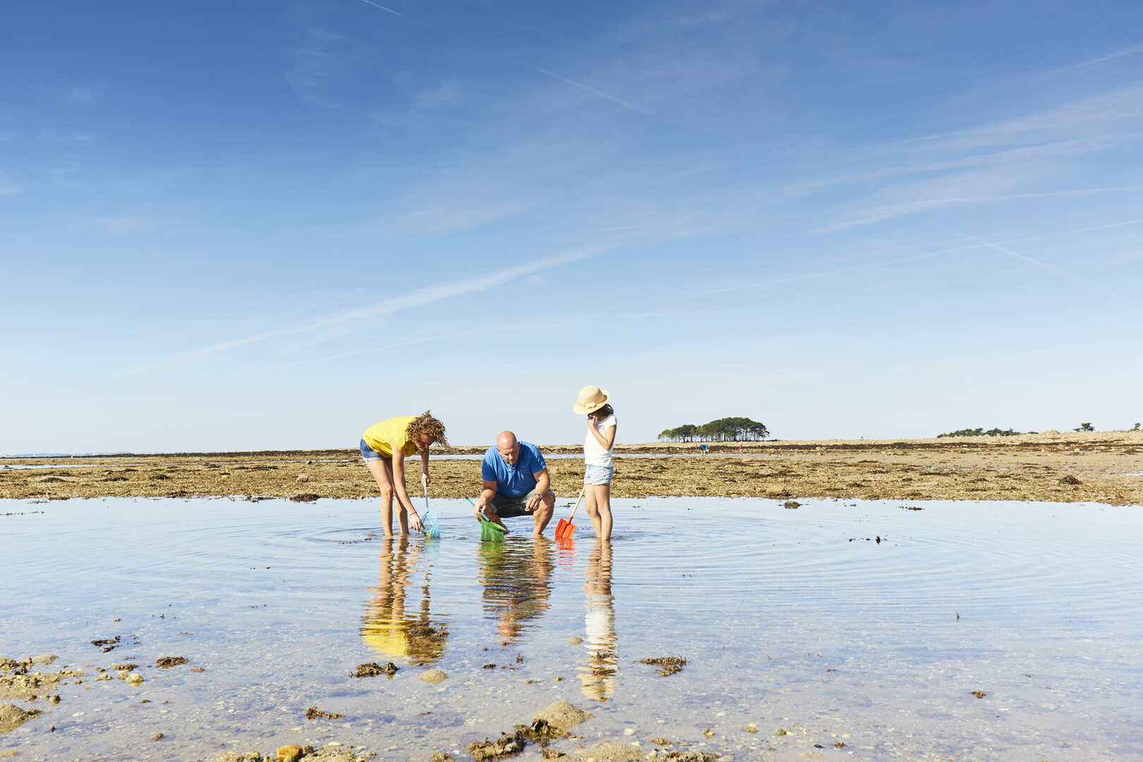 Go shellfish gathering in Quiberon Bay