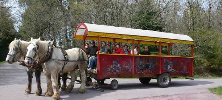 Horse-drawn carriage in Quiberon