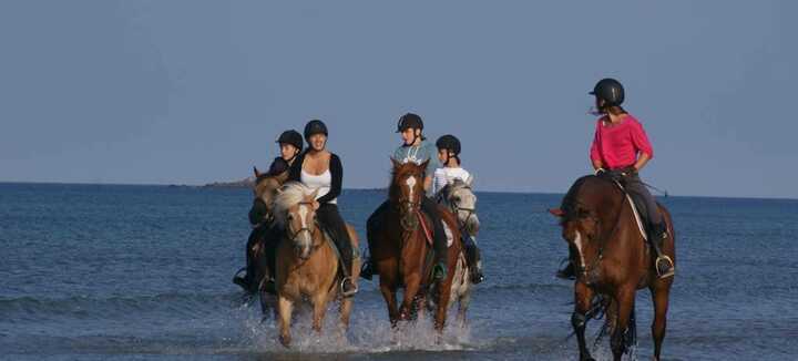 Erdeven Equitation - Pony Club Equestrian Center