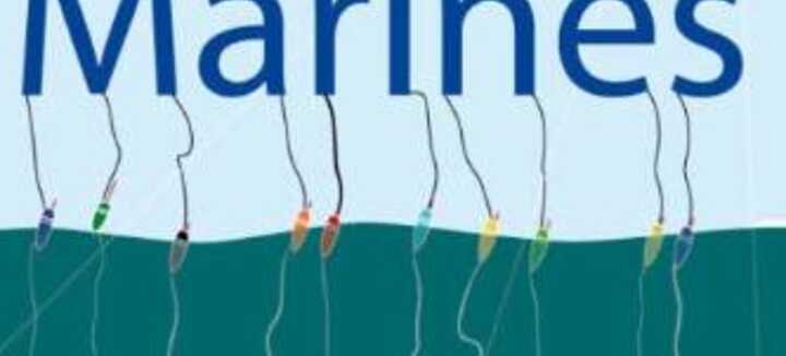 Puces de Mer - Vide grenier des Marins