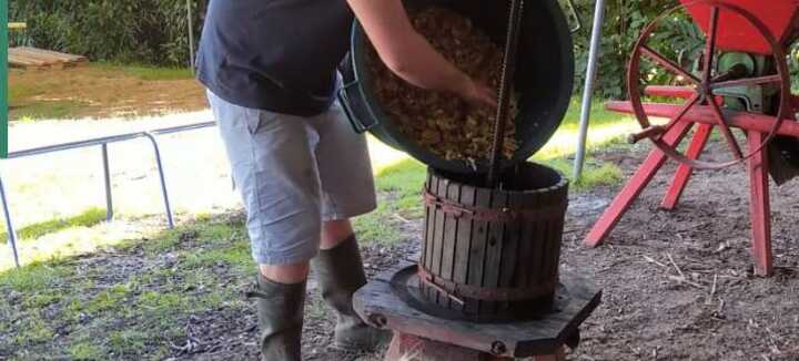 Des pommes au jus