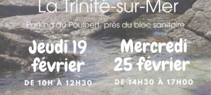 Sortie nature : Découverte de l'estran : les petits animaux du bord de mer et sensibilisation à la pêche à pied