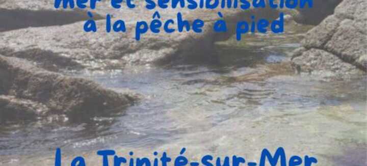 Sortie nature : Découverte de l'estran : les petits animaux du bord de mer