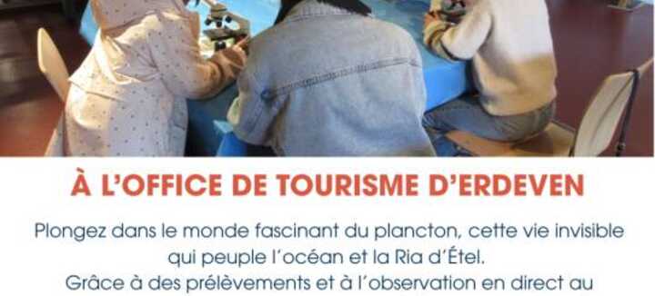 Atelier - Observation du plancton