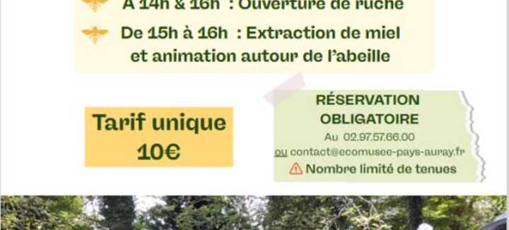 Animation ouverture de ruche et extraction de miel