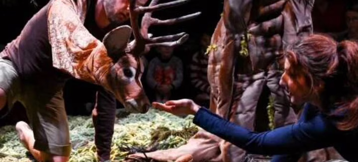 Spectacle - Sous l’arbre