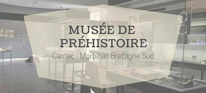 Museum of Prehistory - Guided tour "in small steps"