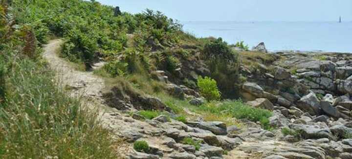 Coastal Medicinal &amp; Edible Wild Plants Walk - Incroyables Chemins