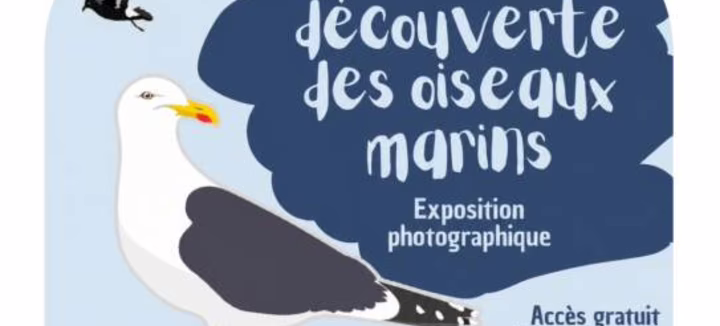 Exposition " Observons les oiseaux"