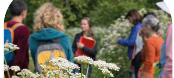 Balade botanique à la Pointe du Conguel