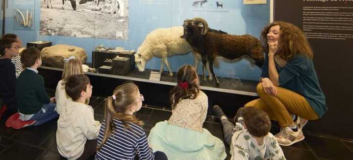 Visite contée à petits pas