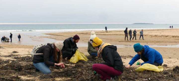 Nettoyage des plages