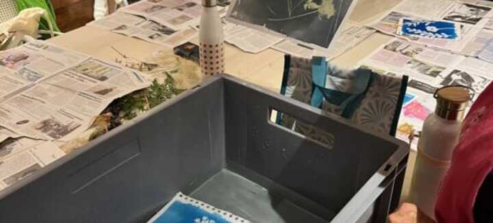 Atelier découverte du cyanotype