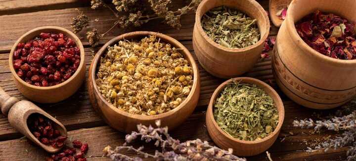 Potager du débutant - Les plantes aromatiques et médicinales