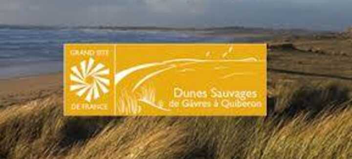 Visite découverte : Paysages, orchidées et curiosités naturalistes