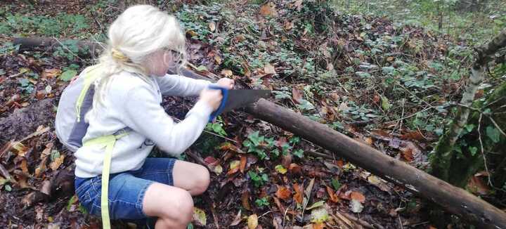 Animation en forêt pour les 7-10 ans