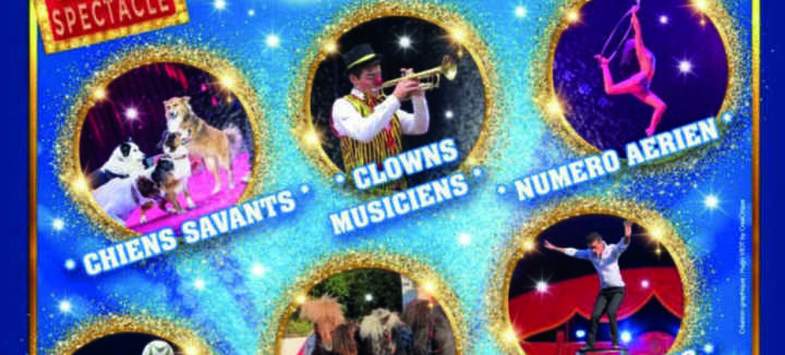 Cirque Williams