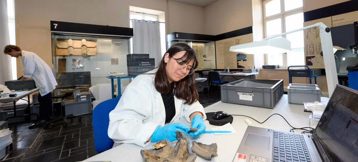 Visite du Musée : Le chantier des collections