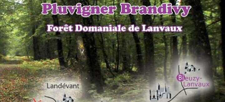 Pluvigner - Circuit of Bieuzy-Lanvaux