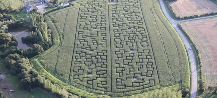 Pop Corn Maze