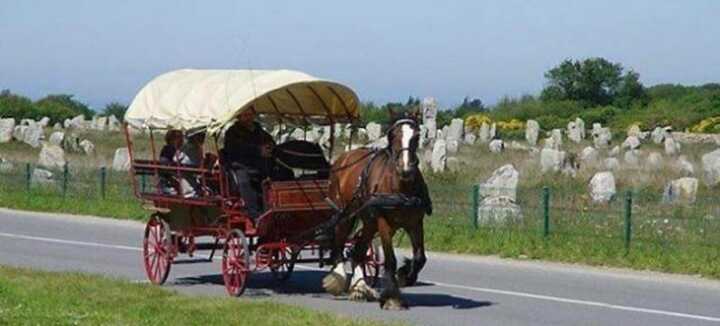 Guided carriage tour - H. Le Maguer