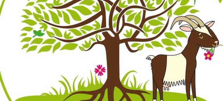 Auprès de mes chèvres