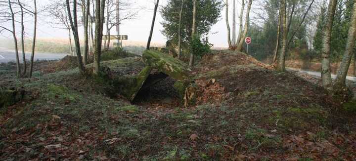 Allée-couverte Lann er Veinn