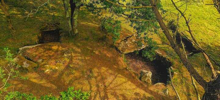 Dolmen de Kervilor Mané Bras