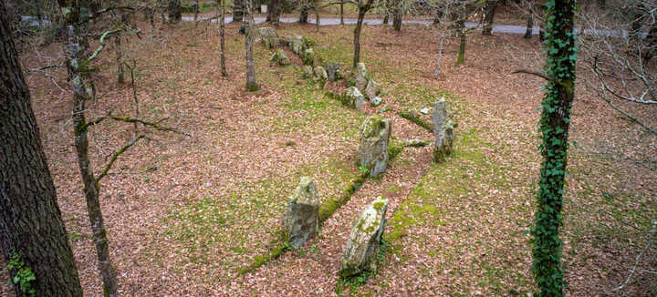 Allée couverte de Luffang