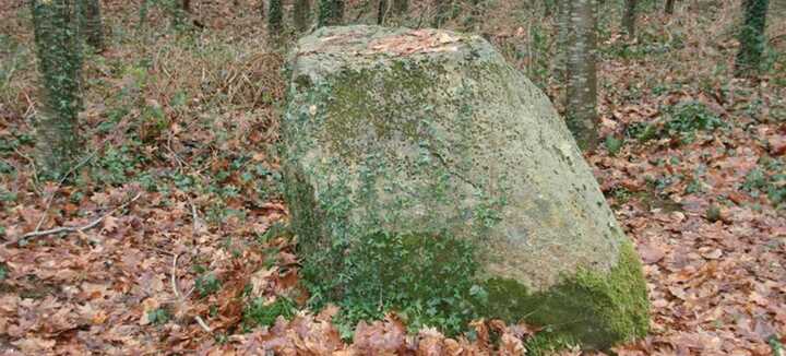 Menhir L’armoirie