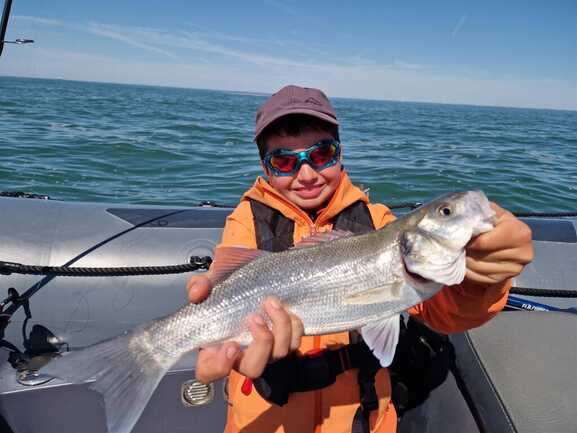 Copie-de-2024-04-oscar-et-vincent-daien-N2