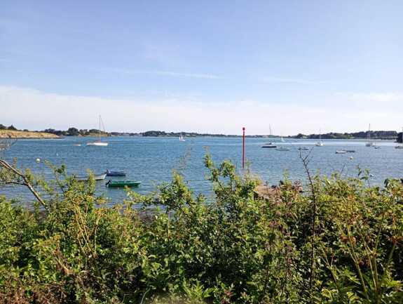 IMG_20240608_171958198_MFNR