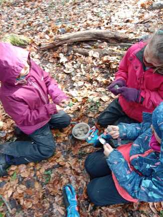 IMG_20240315_145500 1