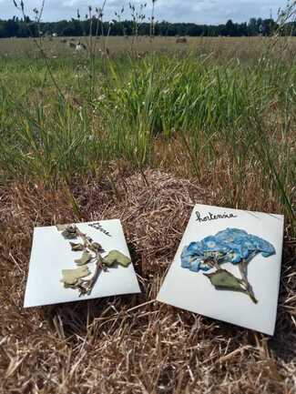 IMG_20250714_172034 1