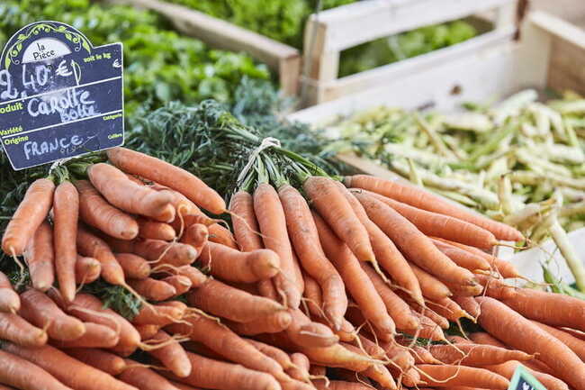 carottes-marche