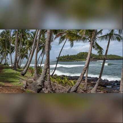 Guyane, une pépite en Amazonie