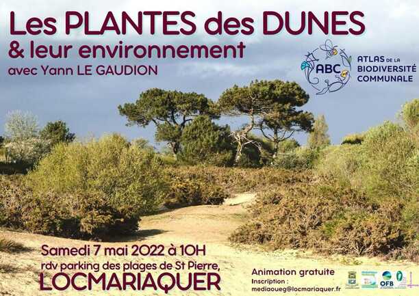 Output Plants of the Dunes and their Environment à LOCMARIAQUER