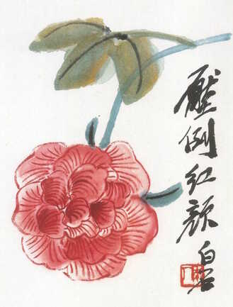 INI 27 et 28 sept 2025