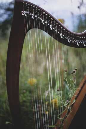 harpe