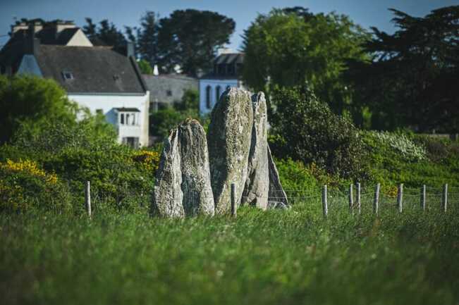 Plouharnel-Menhirs du Vieux Moulin