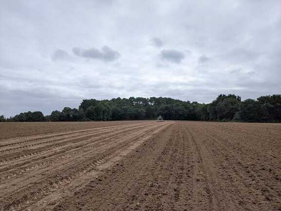 481249375_564838519908768_4554166826408950892_n