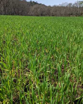 481252249_558804260512194_765191538232692684_n