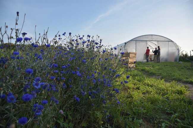 Notre serre à plant