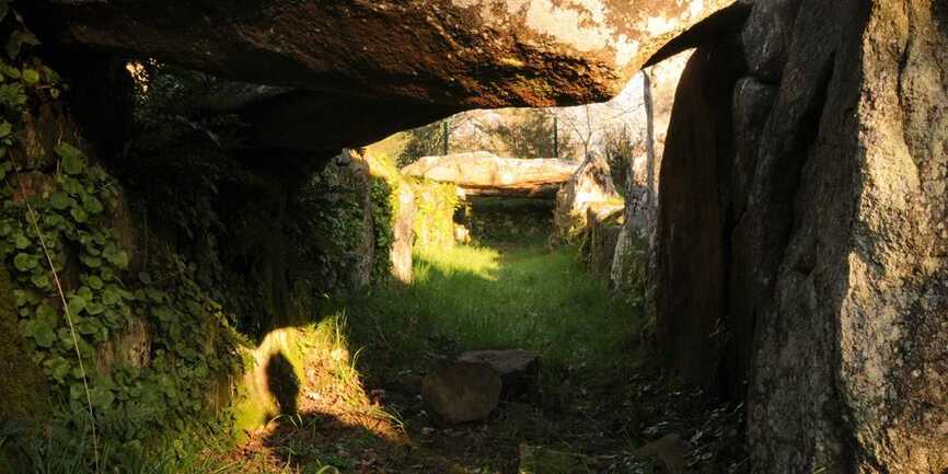 Allée couverte de Mané Roullarde La Trinité sur Mer - Morbihan Bretagne sud (1)