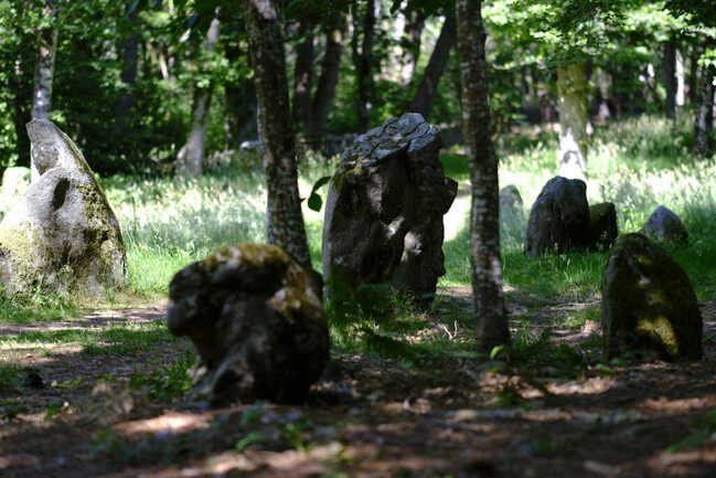 Alignements du Petit Ménec - André Polkowski 2021 - 015.JPG_compressed