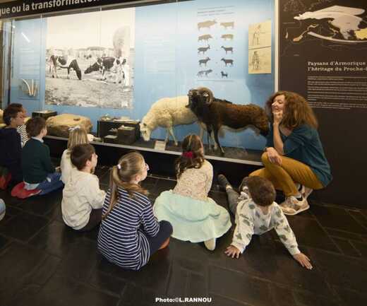 visite-musee-prehistoire-carnac