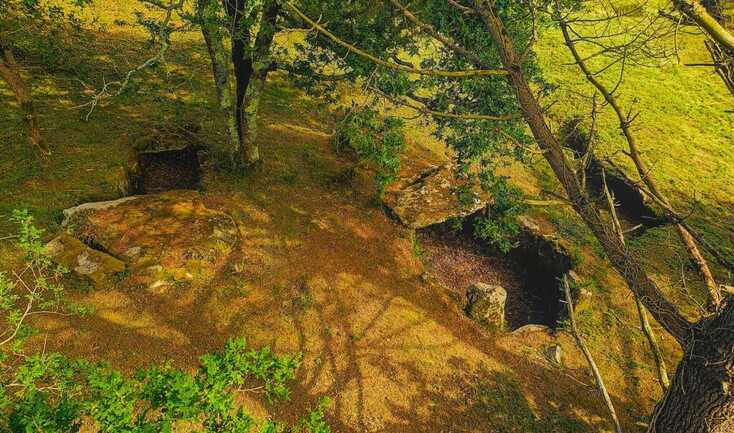 LA TRINITE SUR MER -Kervilor - Mané Bras (10).jpg_compressed